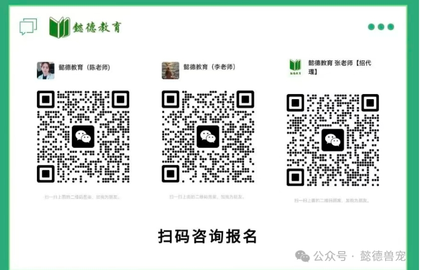 Ȥ����welcome��¼��(�й�)�ٷ���վ