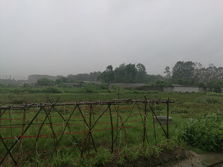 ��ҳ- k8���������й��ٷ���վ