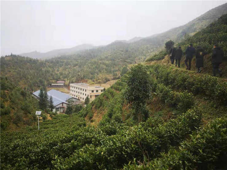 ��ҳ- k8���������й��ٷ���վ