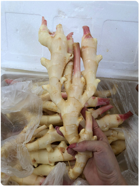 ��ҳ- k8���������й��ٷ���վ
