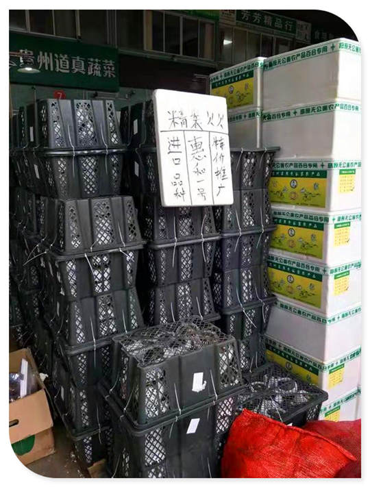 ��ҳ- k8���������й��ٷ���վ
