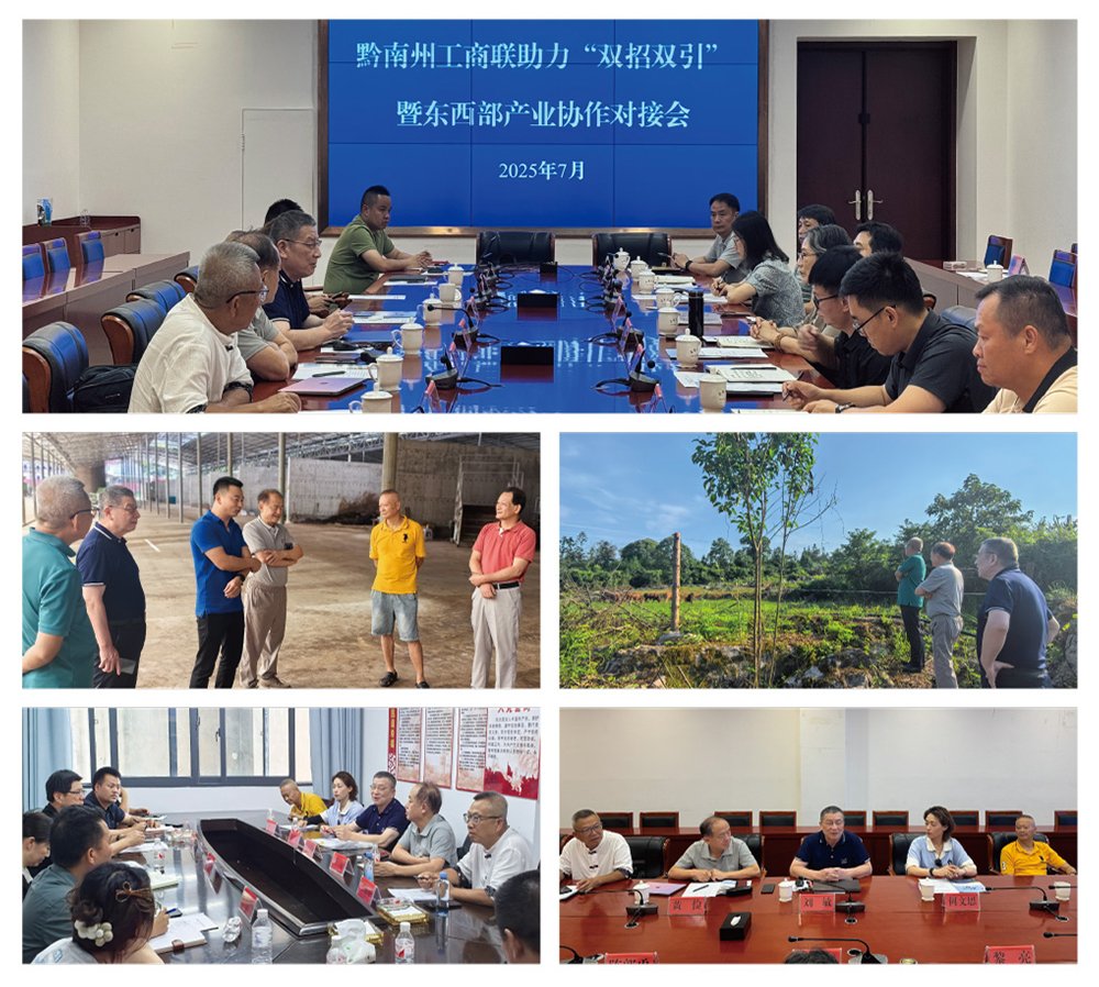 1-250F91P230155 首页- k8凯发集团中国官方网站