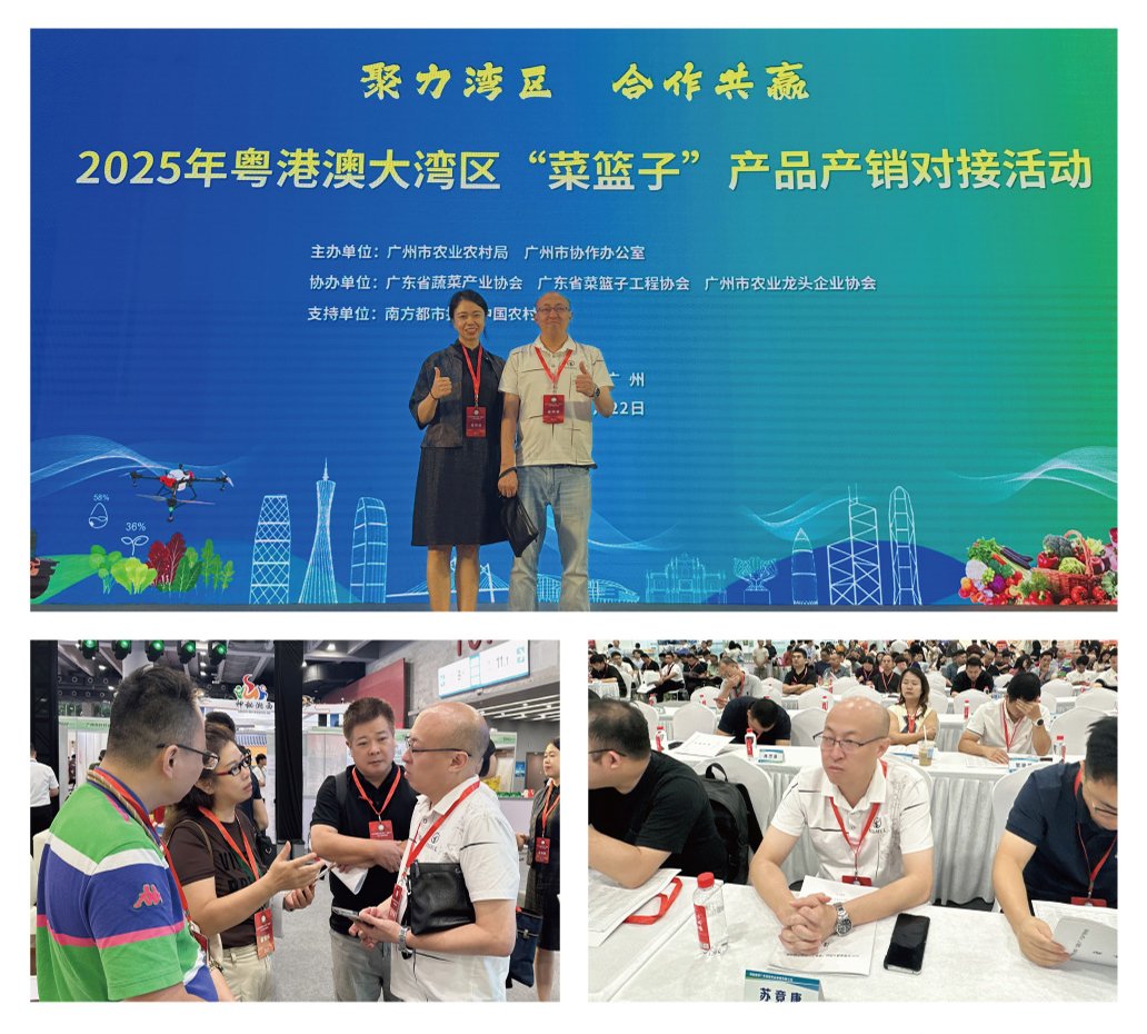 1-250R611033C27 首页- k8凯发集团中国官方网站